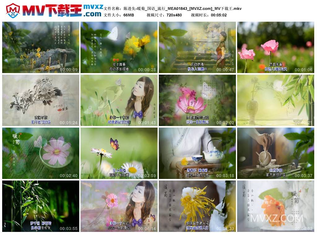 陈进先-暖菊_国语_流行_MEA01843